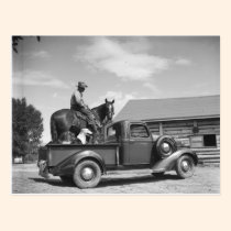 Vaquero con el caballo en un camión tarjetas postales