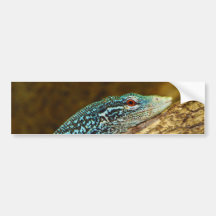 Varanus Azul-Manchado Macraei del monitor del árbo Etiqueta De Parachoque