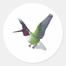 Varón del colibrí de Ana Pegatina