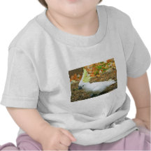 ¡Vea mi escudo! Camisetas