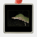 Vegetación inusual en las maderas ornamento para arbol de navidad