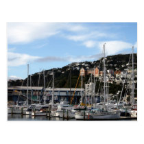 Veleros en la postal de Wellington tarjetas postales