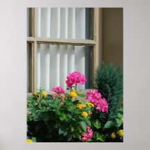 Ventana floral posters