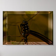 Ventana Poster