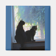 Ventana que mira gatitos imanes  