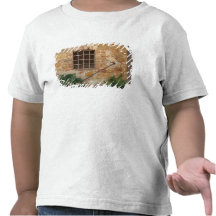 Ventana y pared de piedra antigua, Pienza, Italia Camisetas