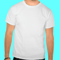 Verano de las curiosidades camisetas