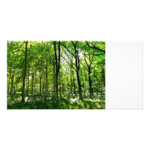 Verano en el bosque tarjetas fotográficas personalizadas