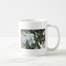 Verano, lirios del Blanca de las casas Taza De Café