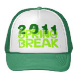 Verde 2011 del gorra 5 de las vacaciones de primav