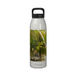 VERDE DE LA PRIMAVERA BOTALLAS DE AGUA