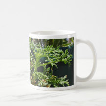 Verde de las plantas taza de café