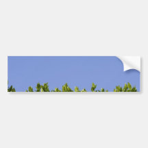 Verde del árbol del seto etiqueta de parachoque