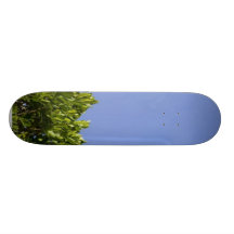 Verde del árbol del seto patineta personalizada