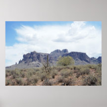 Verde del desierto posters