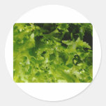 verde etiquetas  