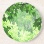 Verde frondoso posavasos para bebidas