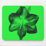 Verde oscuro en Amaryllis verde claro Tapete De Ratón
