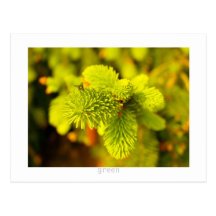 Verde Tarjeta Postal