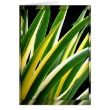 verde y hojas del oro en tarjeta negra
