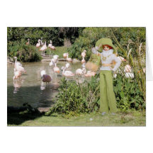 Verdi, flamencos en el parque zoológico de Houston Tarjetón