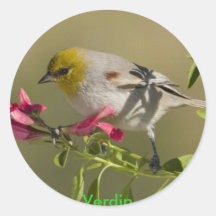 Verdin Pegatinas