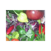 Verduras del jardín lona envuelta para galerias