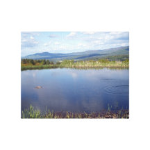 Vermont Lona Envuelta Para Galerías