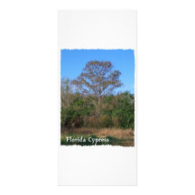 Vertical del pantano de la Florida Cypress Lona
