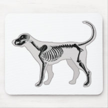VETERINARIO DE LA RADIOGRAFÍA DE LA ANATOMÍA DEL P ALFOMBRILLAS DE RATONES