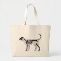 VETERINARIO DE LA RADIOGRAFÍA DE LA ANATOMÍA DEL P BOLSA LIENZO
