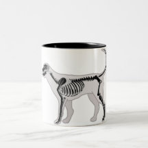 VETERINARIO DE LA RADIOGRAFÍA DE LA ANATOMÍA DEL P TAZAS