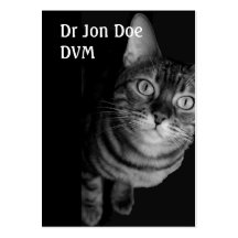 Veterinario de la tarjeta de visita IV
