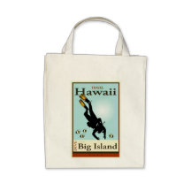 Viaje Hawaii Bolsas