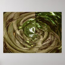 VID ABSTRACTA POSTER