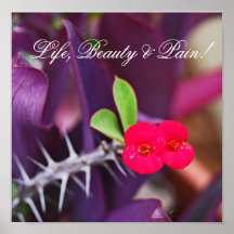 ¡Vida, belleza y dolor! Impresiones