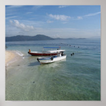 Vida de la playa poster