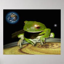 vida de las ranas en la tierra impresiones