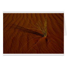 Vida del desierto felicitacion 