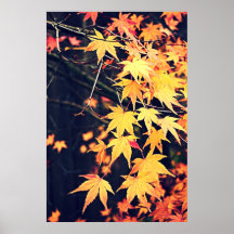 Vida del otoño poster