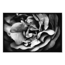 vida interna del despliegue arte fotografico