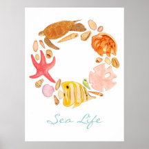 Vida marina poster