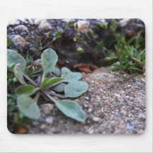 Vida Mousepad de la hormiga Tapete De Ratones