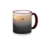 VIDA TAZA