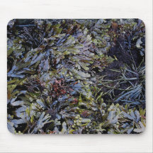 Vida vegetal del sur de mar de Devon Rockpool (1) Alfombrilla De Ratones
