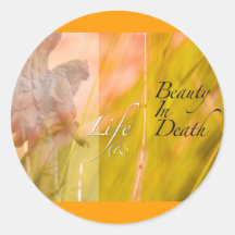 vida y belleza etiqueta redonda