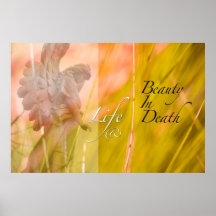 vida y belleza posters