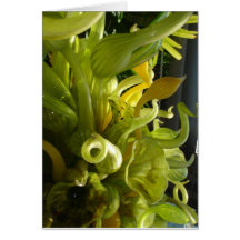 vidrio amarillo tarjeta