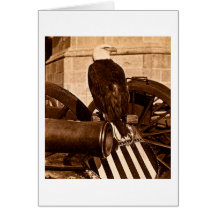 Vieja guerra Eagle Stereoview Ca 1875 de Abe-The W Felicitaciones