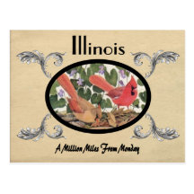 Viejo estado de Illinois de la postal de la aparie